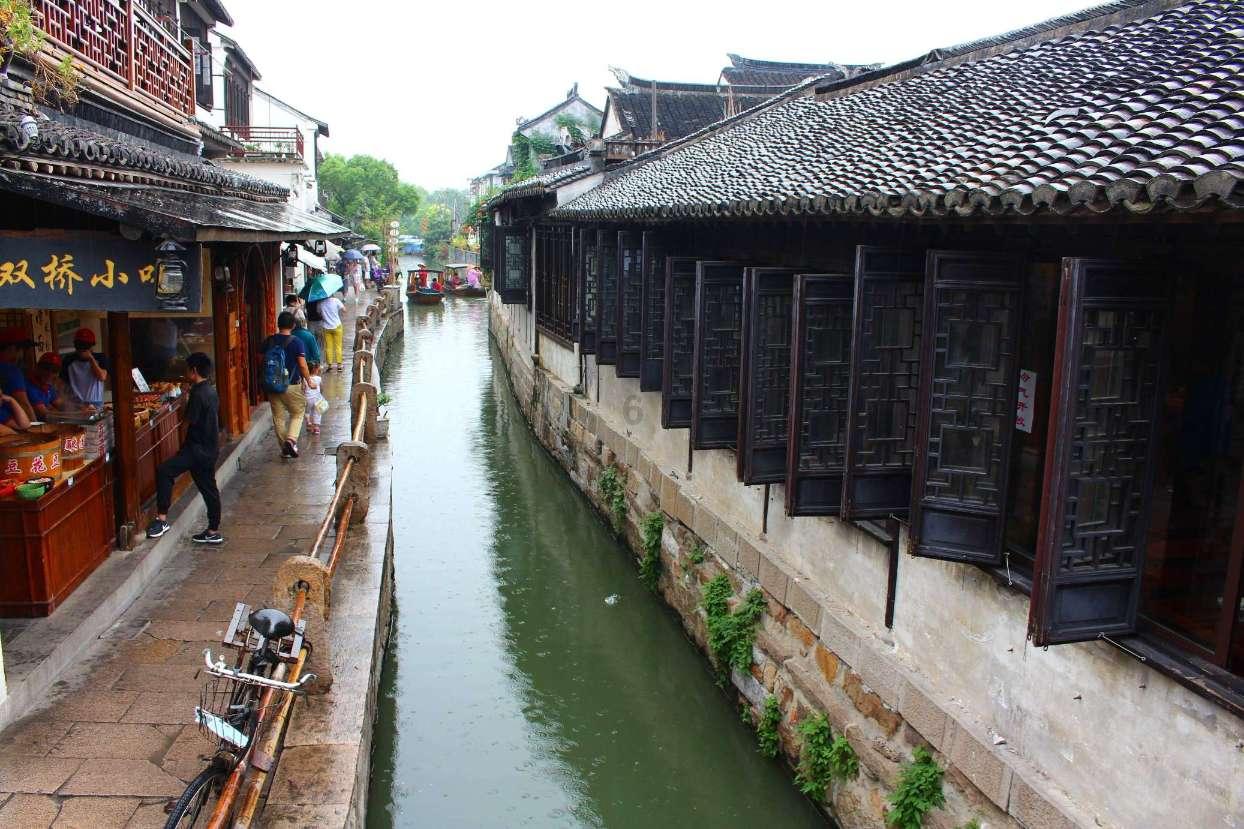 拯救枯树